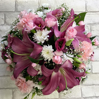 Posies