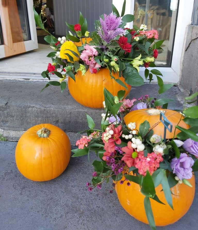 Halloween Pumpkins in Swansea